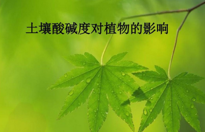 土壤酸碱度检测仪