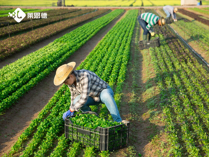 土壤养分检测仪怎么选 高校科研检测机构适用型号推荐